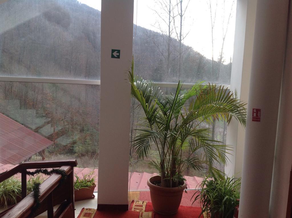 Hotel Panoramic Moneasa Room photo